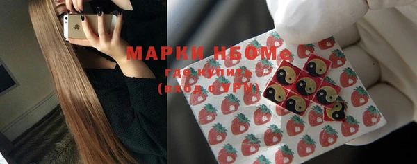 метадон Алексин