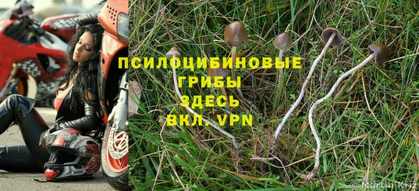 прущие грибы Алексеевка