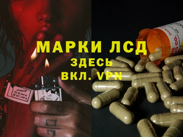 тгк Алзамай
