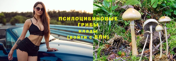 тгк Алзамай