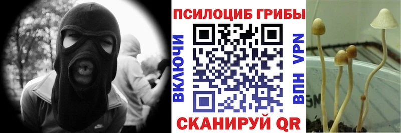 Галлюциногенные грибы MAGIC MUSHROOMS  Кирс 